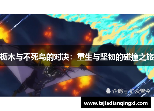 枥木与不死鸟的对决：重生与坚韧的碰撞之旅